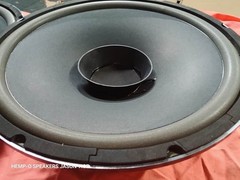 15″ CO-AXIAL TIME ALIGNED COENCENTRIC 2/3 WAY WITH CROSSOVERS AND L-PADS FOSTEX