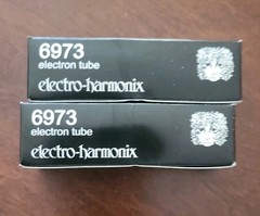 6973, Electro-Harmonix, Russia, Vacuum Tube, Pair, Power