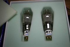 300B MESH PLATE AV5M ALESA VAIC PAIR NOS tube valve lampe röhre tsf 진공관 真空管 AMP