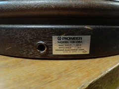 Pioneer CS-06A