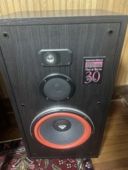 Cerwin Vega RE 30 Series 250 Watt 3 Way Floor Standing Speakers*Excellent*Pickup