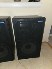 Pioneer CS-G301WA II Speakers – Pair