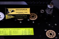 TRUE 7025 SYLVANIA NOS PLATINUM LOW-NOISE TUBE with AMPLITREX BEST TEST RESULTS
