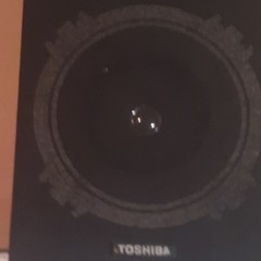 Toshiba Vintage Home Audio Speaker System Black Wood Cabinet Wired