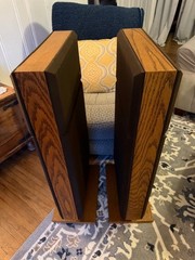 Bertagni (BES) SM-275 Planar Omnidirectional Panel Speakers 1 Owner SERVICED