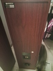 Vintage Audiofile Floor Standing Speakers 830LR
