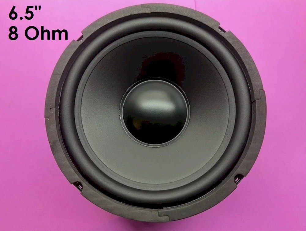 EPI Epicure 400+ Woofer Replacement New Driver Free Shipping