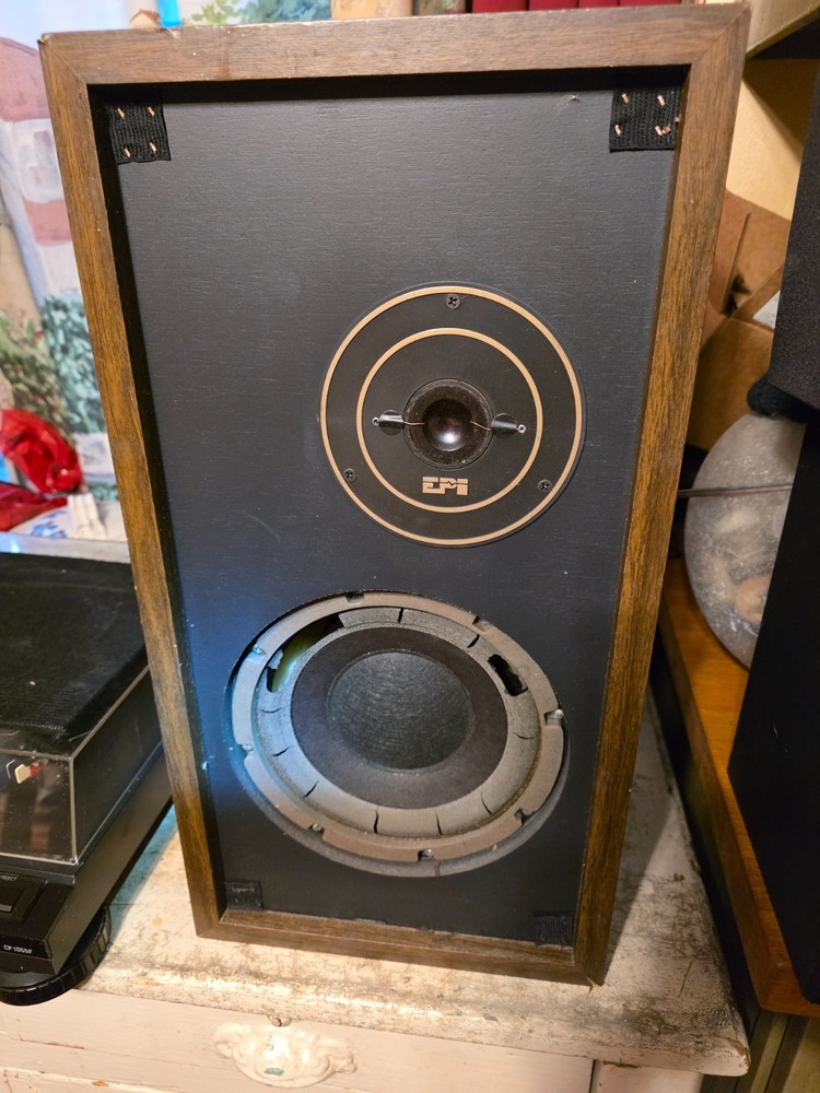 SINGLE EPI MODEL 100V VINTAGE LOUDSPEAKERS EPICURE