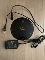 RARE TAGUCHI VOICE ACTIVE SPEAKER DISCONTINUED WITH ORIGINAL WOOD CASE JP HIFI01