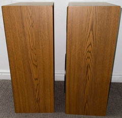 Pioneer Speakers CS-G204