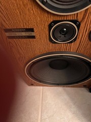 Pioneer CS G-303 Home speakers