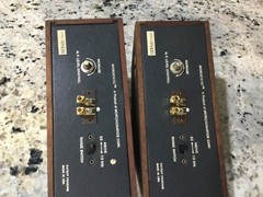 microstatic tm tweeters