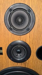 Pioneer Speakers CS-G204