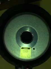 Fostex CSW25 25cm 10″ SUPER WOOFER VERY RARE MADE IN JAPAN 4OHM 100W Carbon