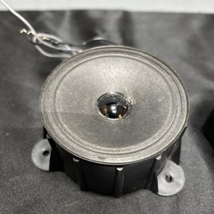 OEM Bose 4.2 Series II Directional Tweeters Replacement Set