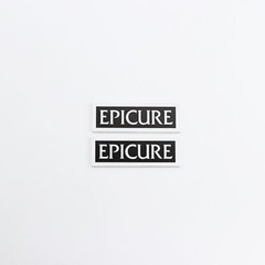 Epicure Speaker Logo Badge Emblem Custom Made 38mm(1.49″)X12.5mm(0.47″)