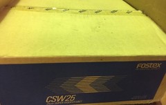 Fostex CSW25 25cm 10″ SUPER WOOFER VERY RARE MADE IN JAPAN 4OHM 100W Carbon