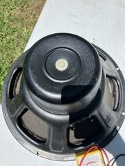 JENSEN P15N 15″ Fullrange Speaker for Fender