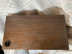 1977 Vintage Bose 300 Series Single Speaker-New Foam, Sounds Great!