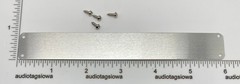 Fender Bassman Black and Silver Amplifier Badge Custom Made Aluminum w/ Screws