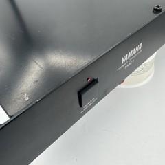 Yamaha FMC1 FMC-1 Format Converter Unit Powers On