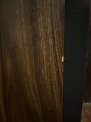 Pair Of MA Micro Acoustic Speakers Serial #10375 Microstatic Floor Wood VTG