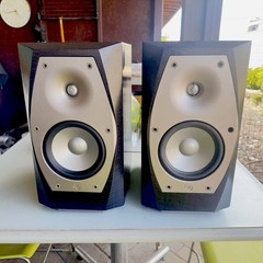 Imfinity IL10 Speaker Pair. Beautiful Black Grain Wood. USA. Pick Up Only!