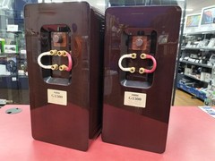 Fostex G1300 Bookshelf Speaker Pair Pure Magnesium Tweeter Tested TMB01 11.5/PC