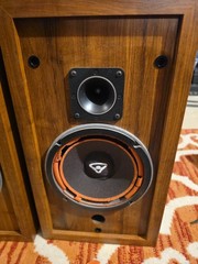 Cerwin Vega D-1 Bookshelf Speaker (Pair) Needs Foam