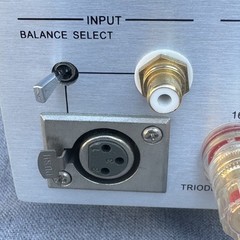 Triode TRV-M88SE KT88 Tube Monoblock Amplifiers Pair | XLR & RCA Inputs | Excell