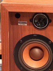 Pioneer CS-99A Speakers