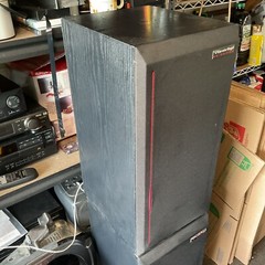 Vintage Cerwin Vega 200 SE Series Cabinet Speakers Made In USA 22” X 10.5” Works