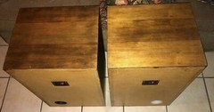 Super Rare Pair Of Petras LoudSpeakers Both Look And Sound Great !