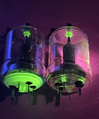 TWO 4-65A VACUUM TUBES WITH URANIUM GLASS SEALS – VASELINE GLASS – NICE UV GLOW