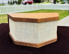 Pair of Vintage Microstatic Micro Acoustics MS-1 External Tweeters Wood Case