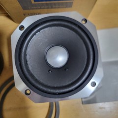 FOSTEX F120A Full Range Speakers Pair Refoamed Original Box Included Tested