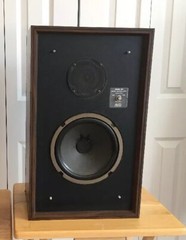 Vintage Avid Model 100 Floor Bookshelf Two-Way Audiophile Speakers Made in US