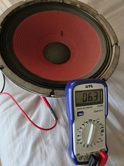 Vintage STROMBERG-CARLSON Slimline 12″ Speaker