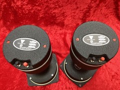 Vintage JBL LE175 HF Drivers with 1217-1290 Horns 🎶 Nice Pair 8ohm L👀K !